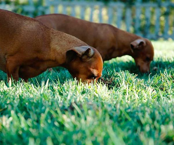 Team working on Business Made